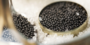 Black caviar_shutterstock_135266369