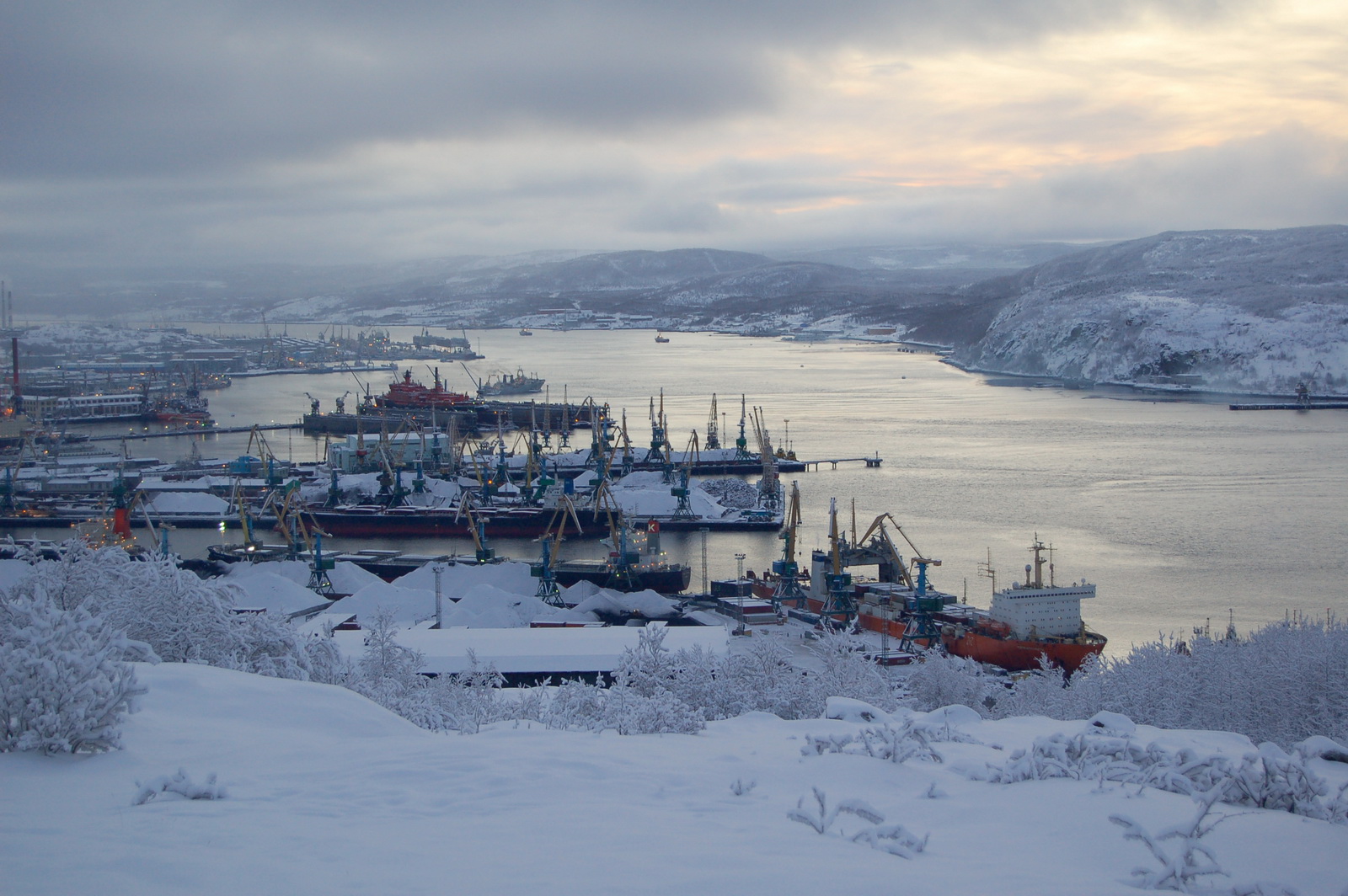 Caracteristicile electrolizei buzei superioare - Îndepărtați papiloamele din prețul Murmansk
